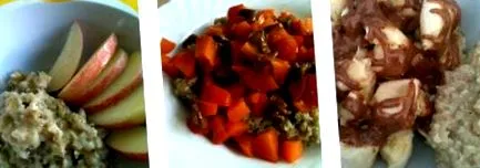 fulgi