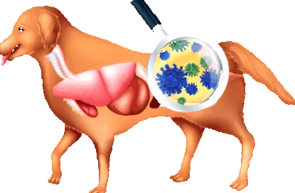 alimente treceți