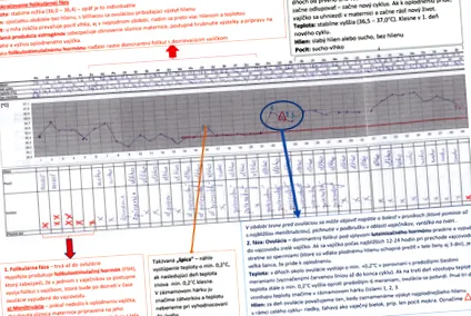 семейно планиране