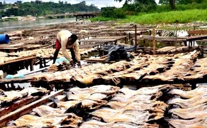 paradis gabon