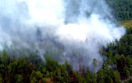 siberia incendiile
