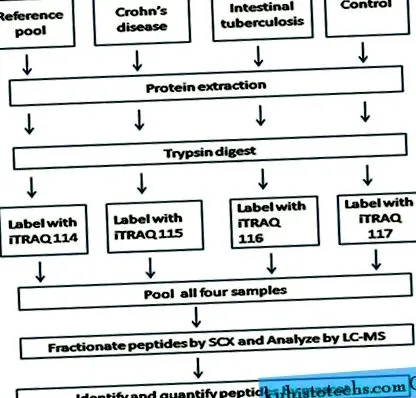 proteomică proteomică