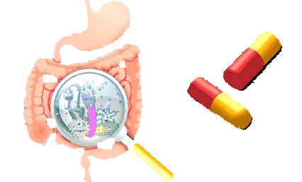 digestive