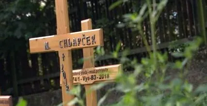 cazul