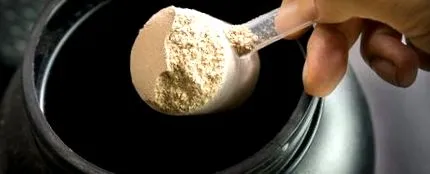proteinele