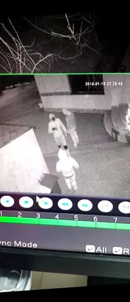 шість
