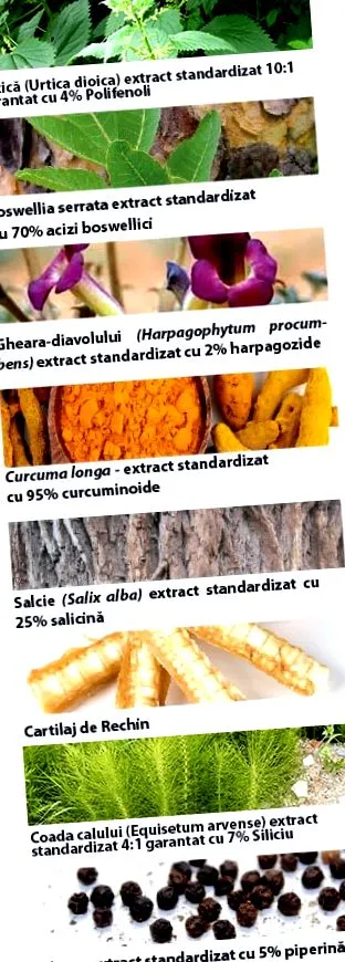 curcumin95