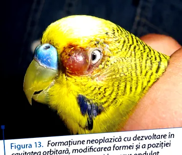 клінічні