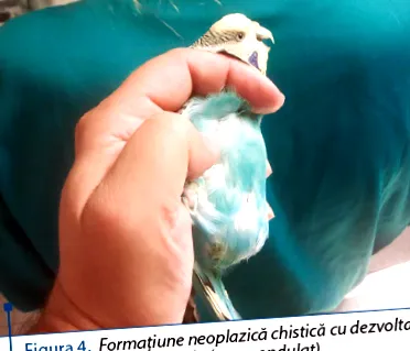 аспекти