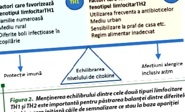 immunrendszer