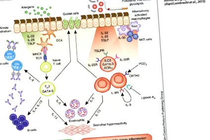 immunrendszer
