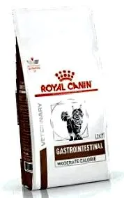 intest gastro
