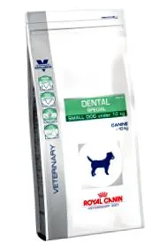 canine