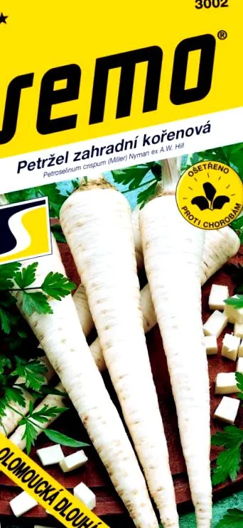 rădăcină rădăcină