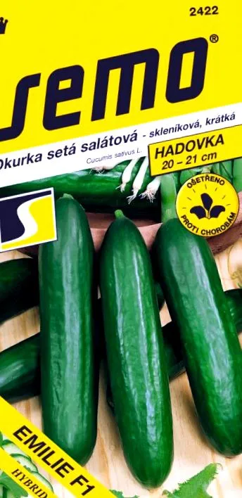 salată semo