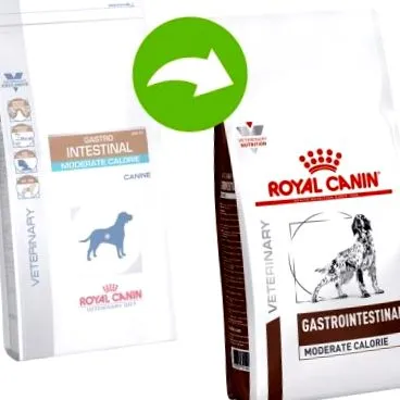 calorii canin