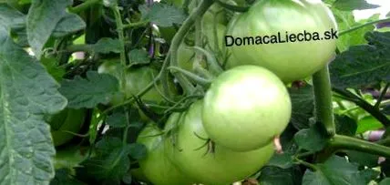 populară populară