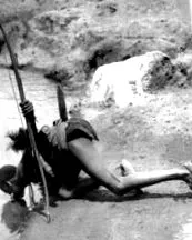 dieta