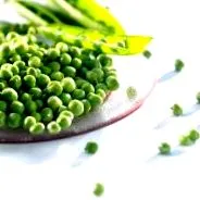 alimentelor