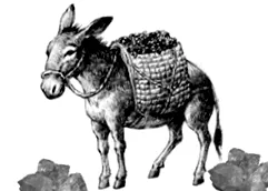 хранене