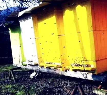 словашкият