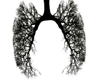 respiratorii