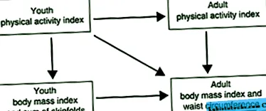 testarea model