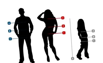îmbrăcămintei diagramele