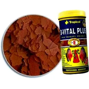 l1kg vital