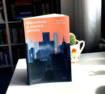 mintea unui