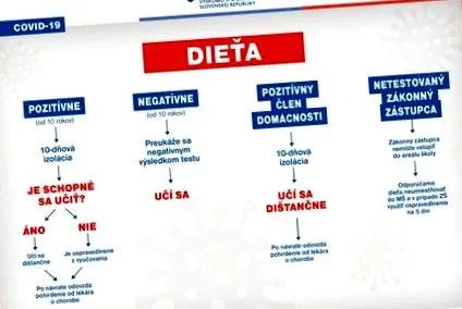 directoare liniile
