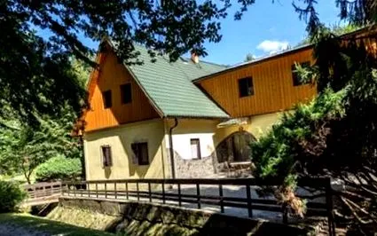 вила