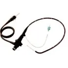 gastric ulcus