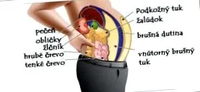 insidios viscerală