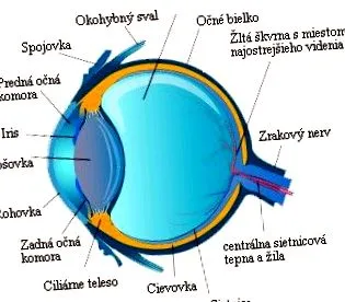 glaucom copii