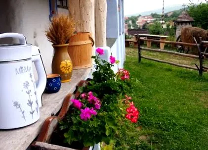 pentru copii