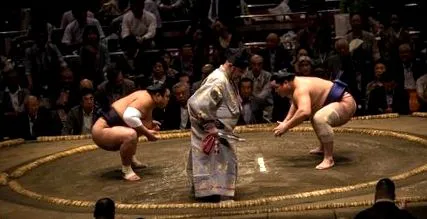sumo