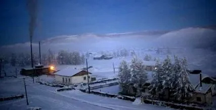 разчитат дърва
