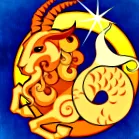 caracteristicile capricorn