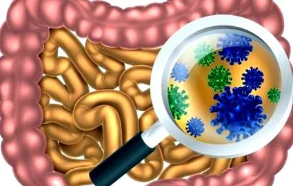 bacteriilor excesive