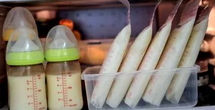 alimente