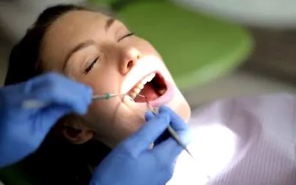 gingiilor gingiilor
