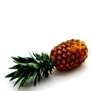 sucuri ananas