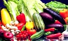 alternative produse lactate