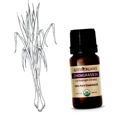 lemongrass