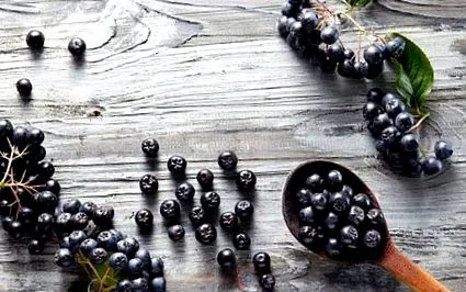 chokeberry fructe
