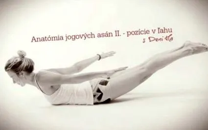 anatomia