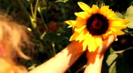 schimbă