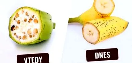 fructele arătau