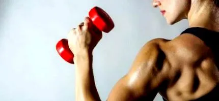 biceps adecvat